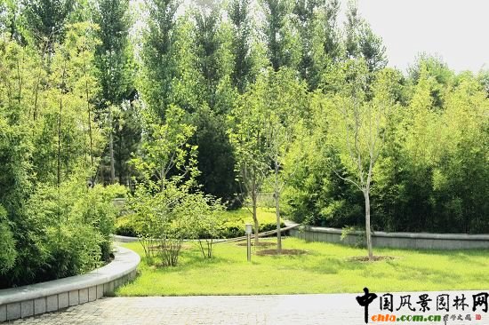 層次豐富