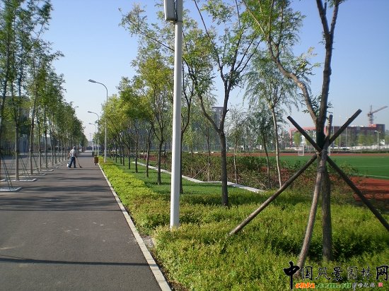 主路兩側