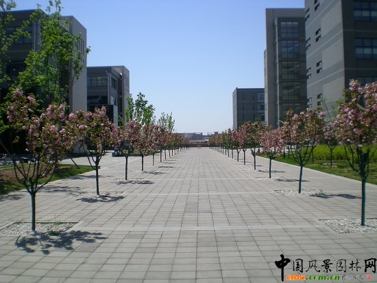 教學(xué)區(qū)