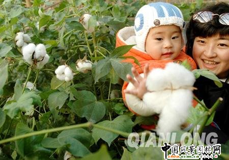 ܴ^@p ڱֵ(ji)(D)