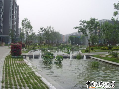 Wƥ˹@B^(q)W\Ŀ@־^(C^(q))