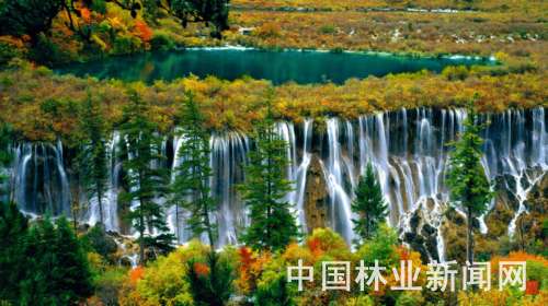 ҇رoIٰlչ(D)կχҼȻo^