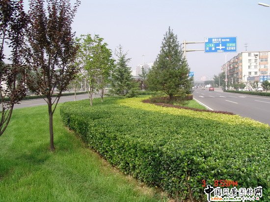 2008Ʒ֮ͨ־^