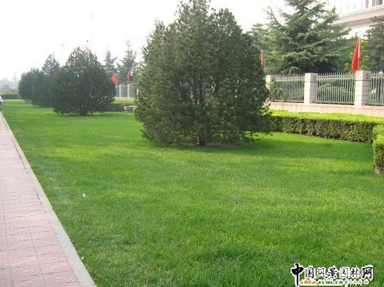 2008Ʒ֮LּLGظ