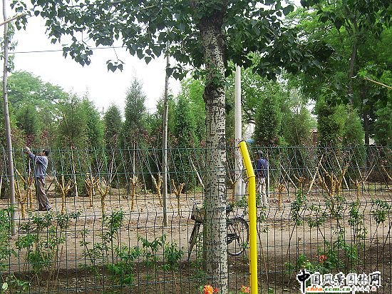 首都機場方溝
