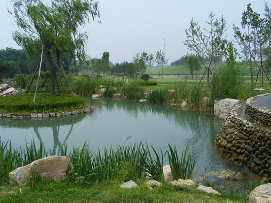2008(yu)|(zh)֮ӞߠG