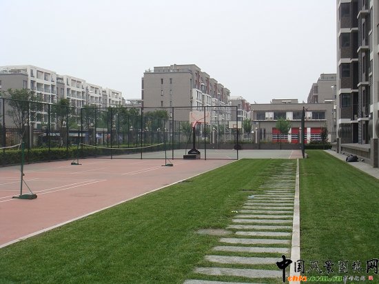 塑膠球場