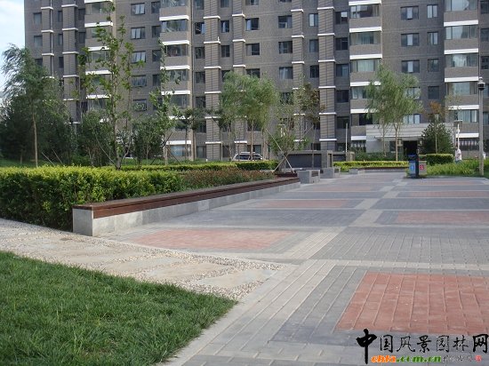 園路及鋪裝廣場