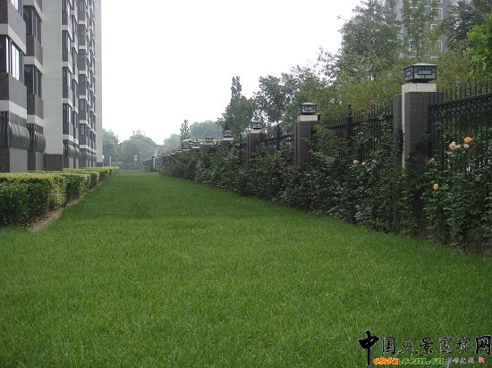 植草板式消防通道