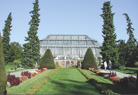 德國柏林植物園 德國柏林植物園