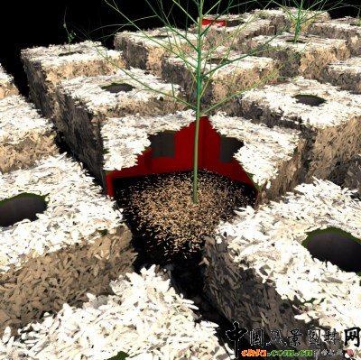 TERRAGRAM