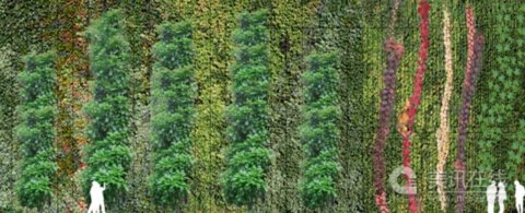 德克薩斯州植物研究院設(shè)計(jì)
