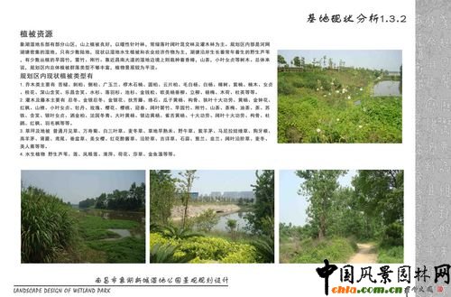 濕地公園