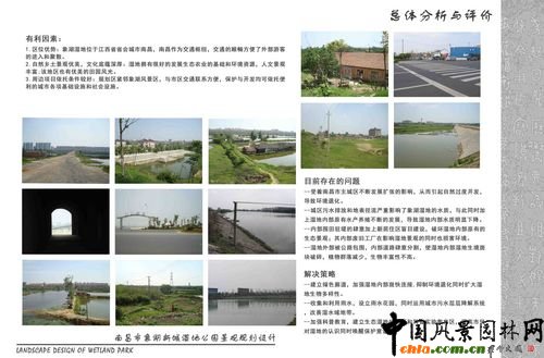 濕地公園