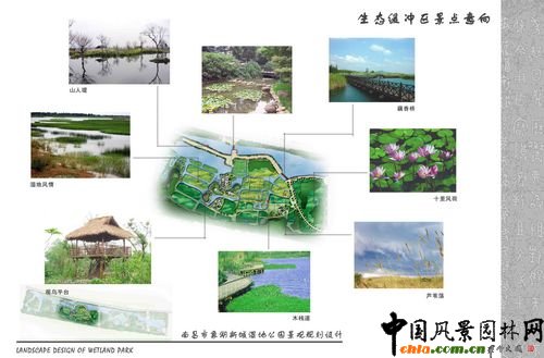 濕地公園