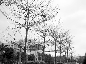 ͱBC@ôУ