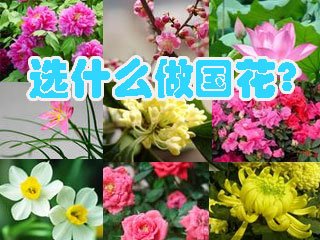 (gu)֮xҶδQ ˴(gu)