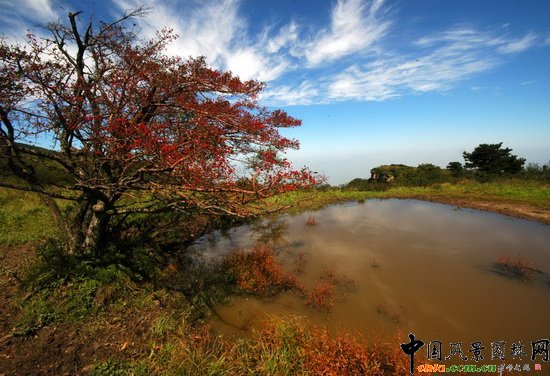 ɽLم^R̶ Yinma Pond