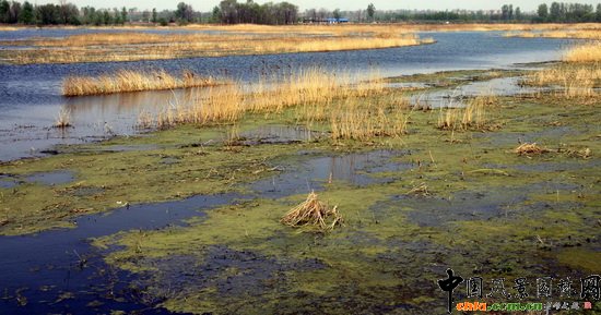 Н Wetland