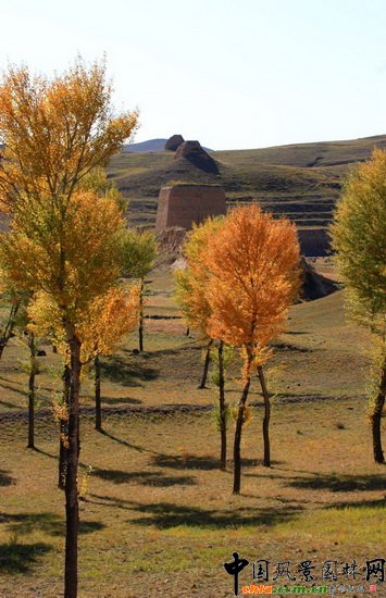 ĦXLL(fng)م^(q)ȻL(fng) Natural Scenery of Weilukou 