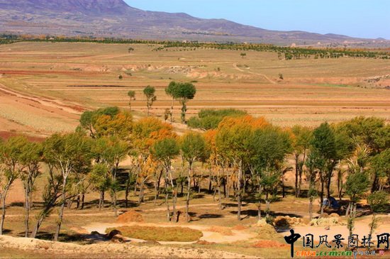 ĦXLL(fng)م^(q)hĹȺ߅L(fng) Landscape around Tombs in Han Dynasty