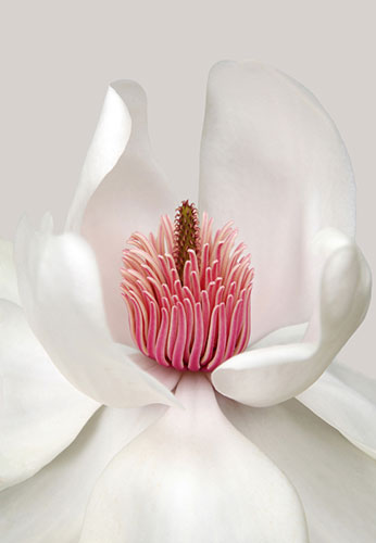 Garden Photographer: 2010 International Garden Photographer of the Year