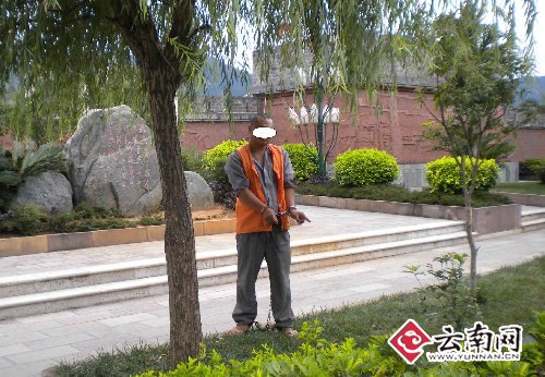 云南：偷挖綠化樹(shù)賣(mài)苗圃園 景東兩男子被刑拘