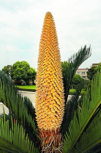 K̫}(cng)һF__(d)82 @@
