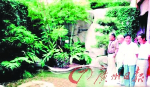 文化公園名石名樹因食肆毀于一旦