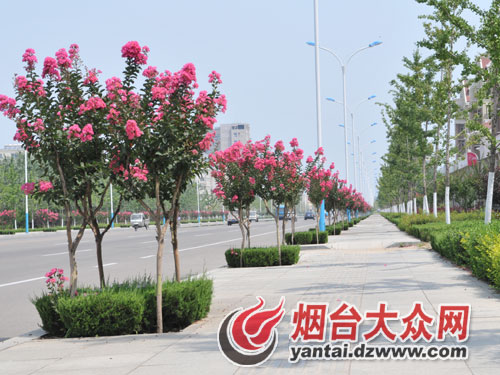 ڣ조ޱǡ 6f`R·ɵ