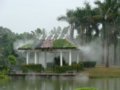 www.chla.comc.n
