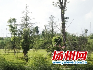Mǡhɷֲ䌣