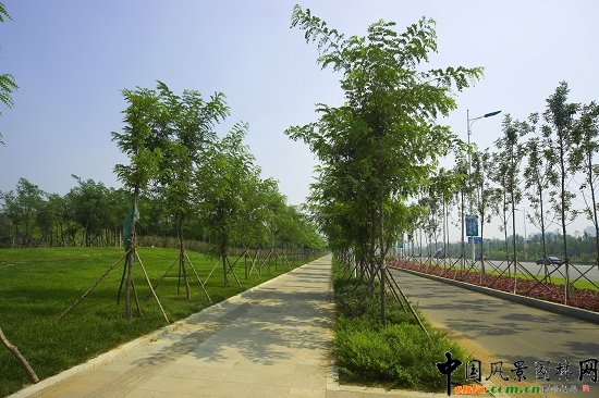 林蔭大道