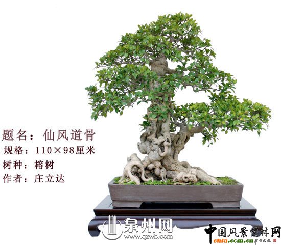 Ȫ݃辰@Ї(gu)辰(chung)ِ(jing)