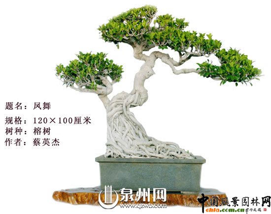 Ȫ݃辰@Ї(gu)辰(chung)ِ(jing)