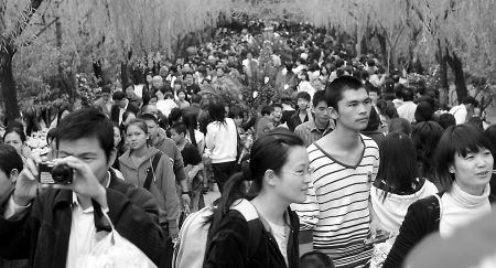 菊花展上的菊花美不勝收 西湖公園內人頭攢動