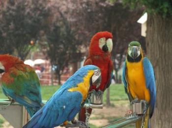 百鳥生態園