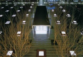 佐佐木葉二作品系列展示（七）：櫸樹廣場