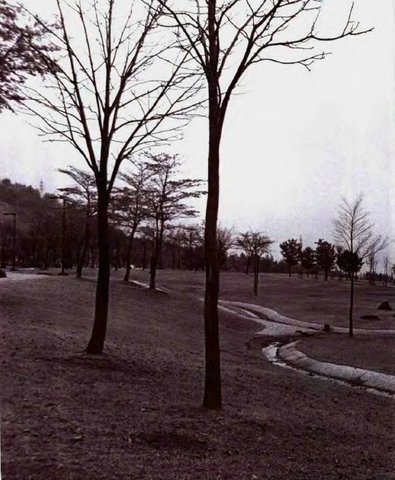 戶田芳樹作品：綠色津南中央庭園 中國風景園林網