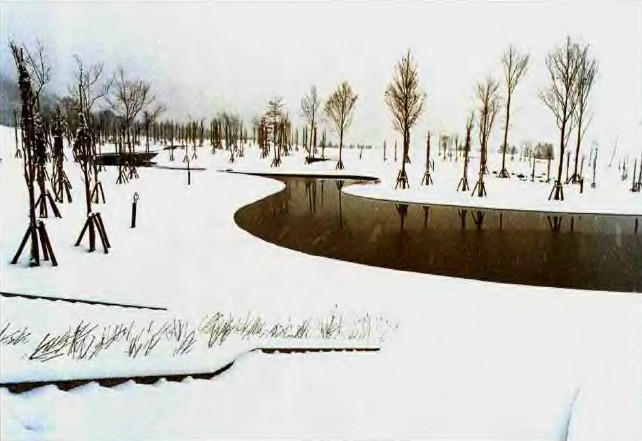 戶田芳樹作品：綠色津南中央庭園 中國風景園林網