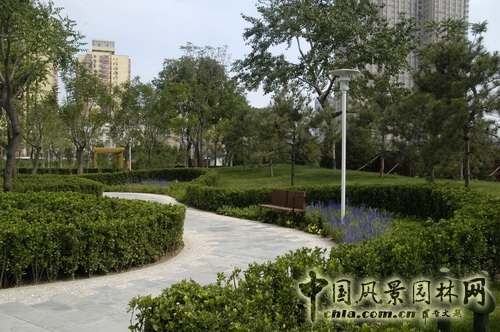 張新宇 公園綠地建設工程  規劃設計 設計師廣場 中國風景園林網
