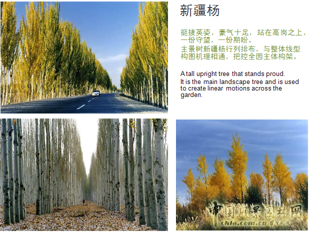 北京園博會(huì)設(shè)計(jì)師廣場(chǎng) 獲獎(jiǎng)作品 流動(dòng)的窗 顧志凌 景觀設(shè)計(jì) 中國(guó)風(fēng)景園林網(wǎng)