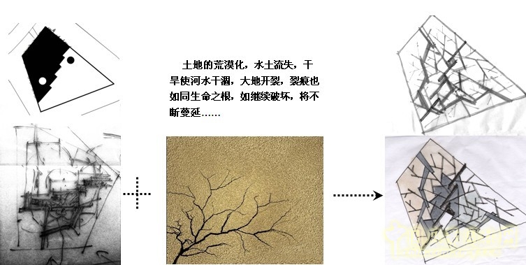 鏡園 張建林 雨水收集系統(tǒng) 園林植物 設(shè)計(jì) 園林 景觀(guān)