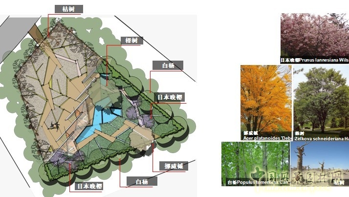 鏡園 張建林 雨水收集系統(tǒng) 園林植物 設(shè)計(jì) 園林 景觀(guān)