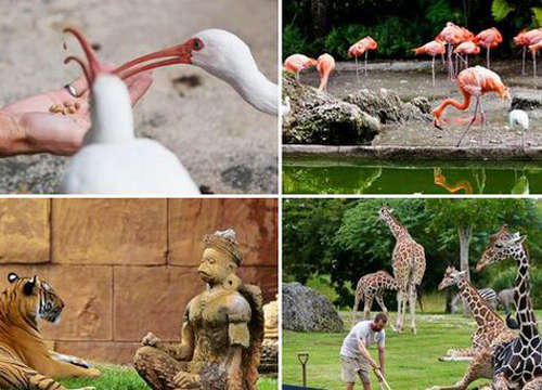 邁阿密動物園