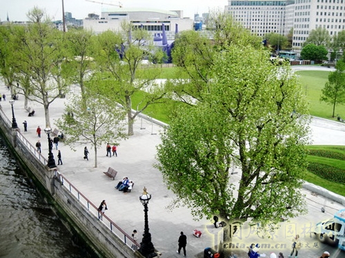 West8倫敦女王禧慶花園 世界園林 規(guī)劃設(shè)計(jì) 中國風(fēng)景園林網(wǎng)