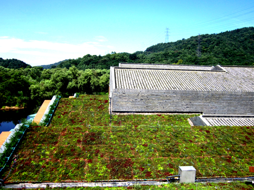 錢江新城 屋頂綠化群 中國風景園林網
