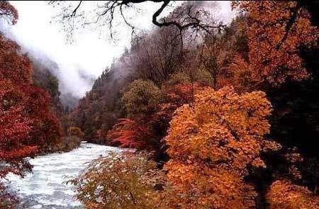 中國(guó)風(fēng)景園林網(wǎng) 園林動(dòng)態(tài)