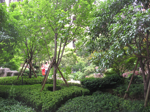 泰和·天辰國際 空中花園 屋頂綠化 中國風(fēng)景園林網(wǎng)