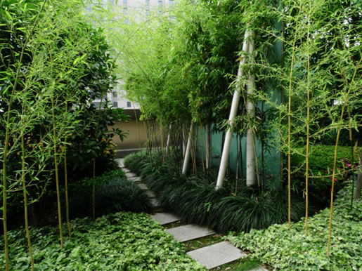 泰和·天辰國際 空中花園 屋頂綠化 中國風(fēng)景園林網(wǎng)